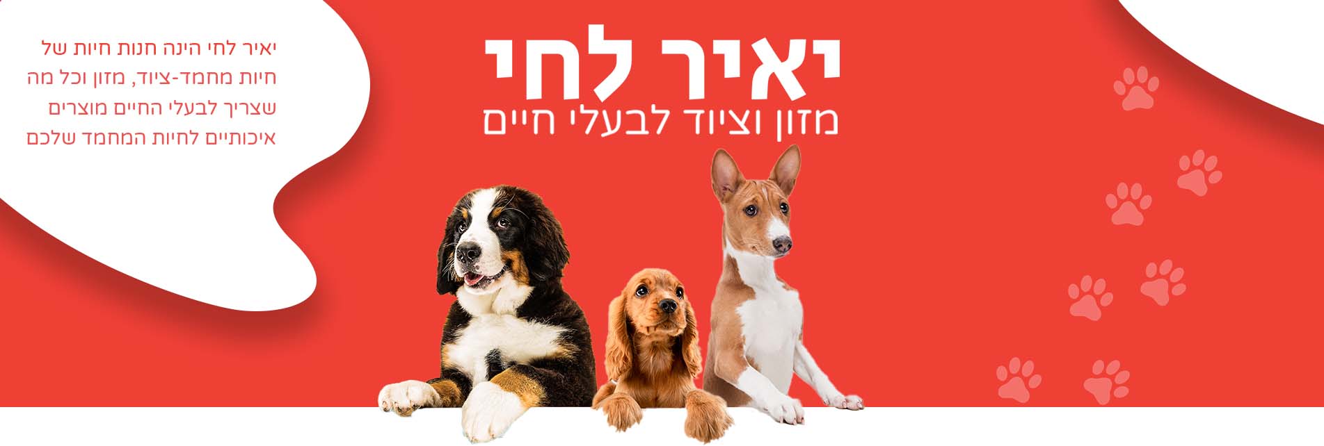 תמונה ללא תיאור